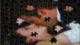 Pieces