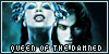 Queen of the Damned Book